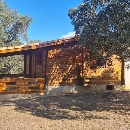 Chalet Climatise Porticcio Corse Fontanaccio المظهر الخارجي الصورة